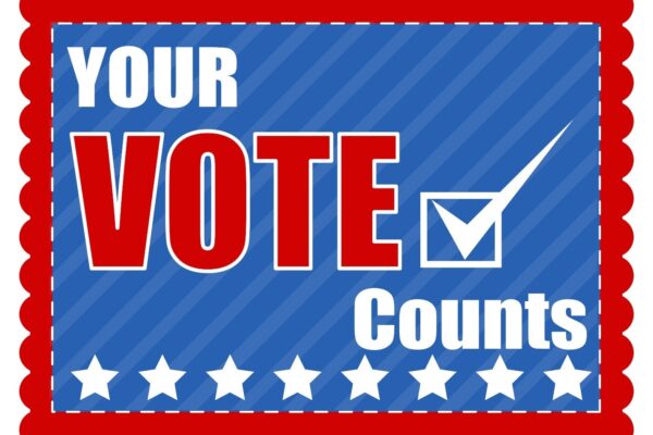 20241028 vote