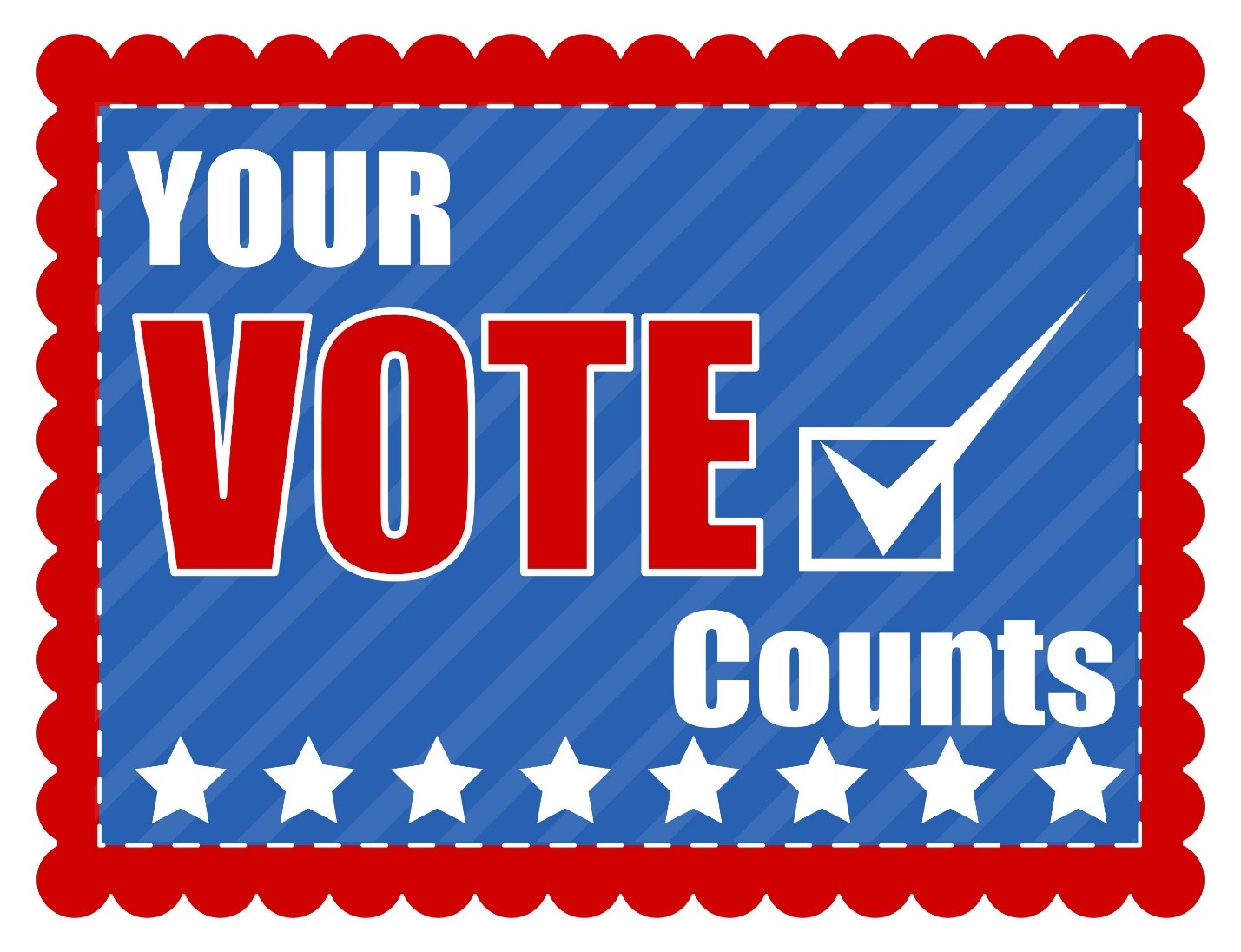 20241028 vote