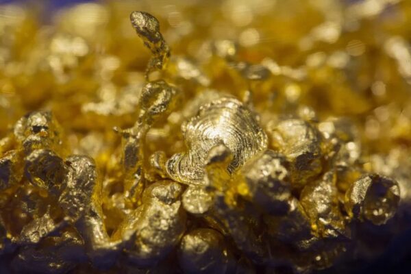20241212 GoldMine