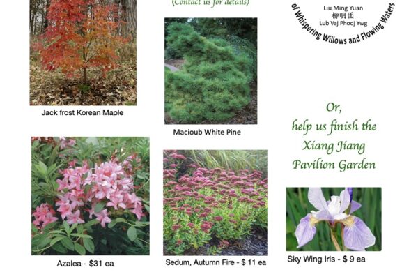 20241217 Garden Memorial Plant