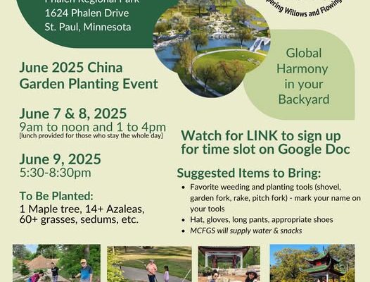 20250526 gardenplanting