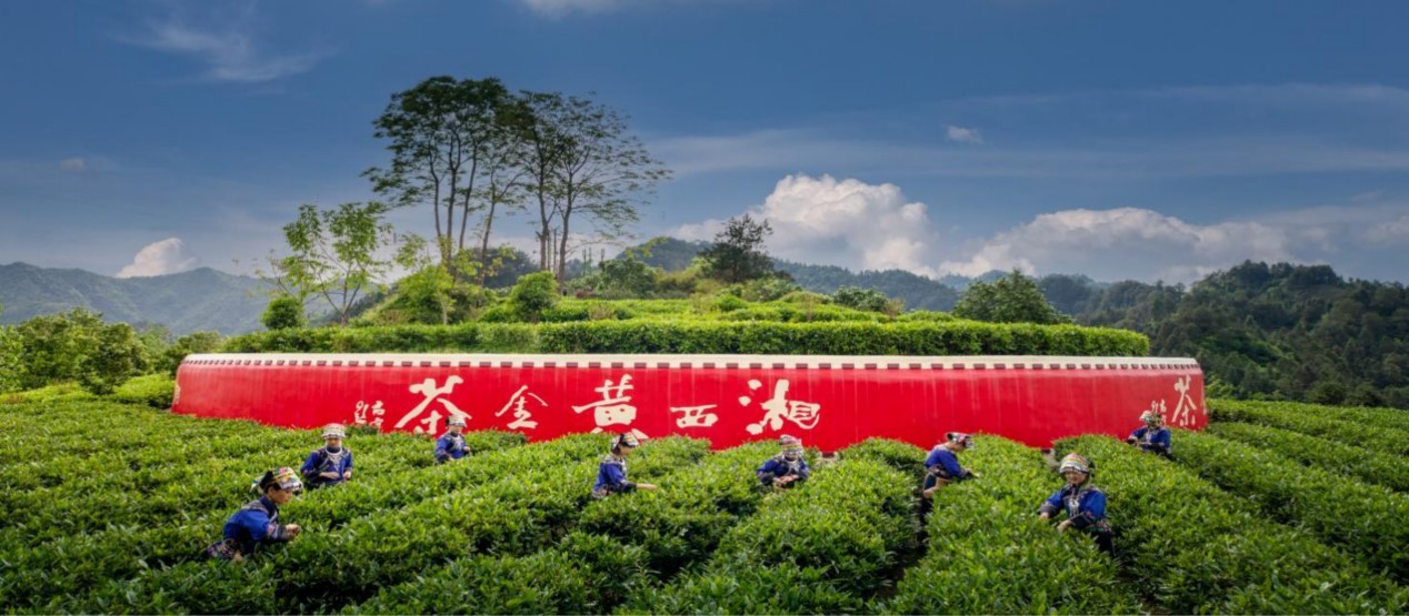 20250727 tea 4