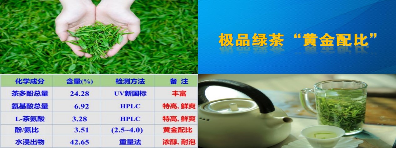 20250727 tea 6