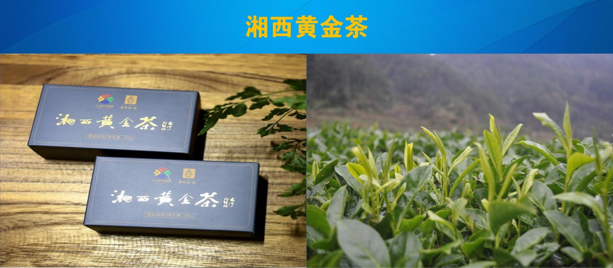 20250727 tea 7