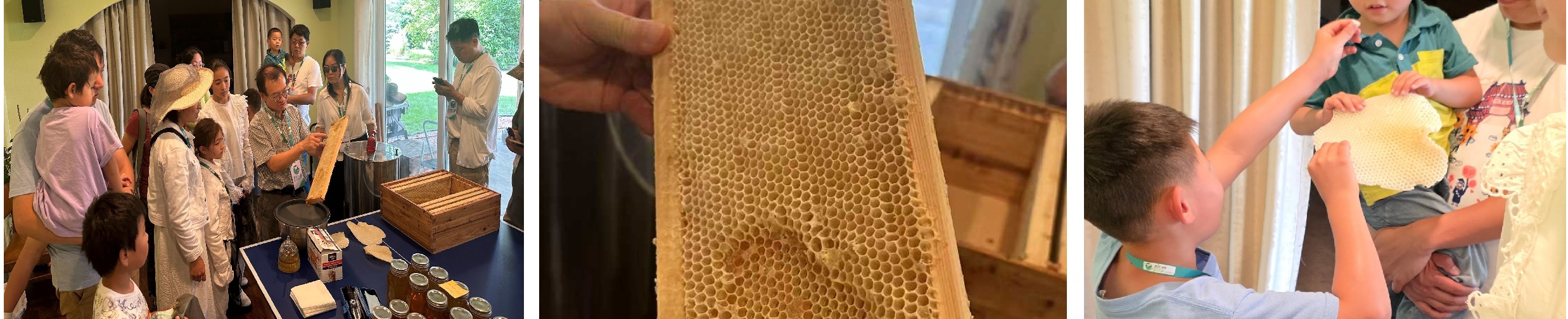 20250920 bee 101112