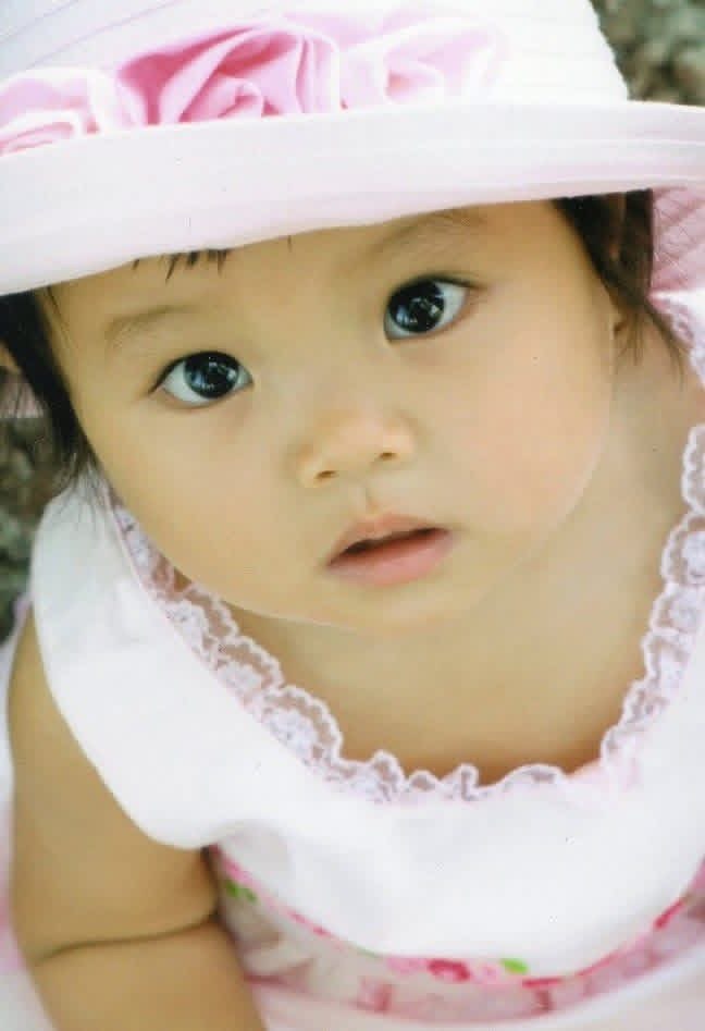20260508 adoption
