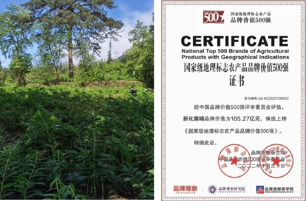 20260527 xinhua