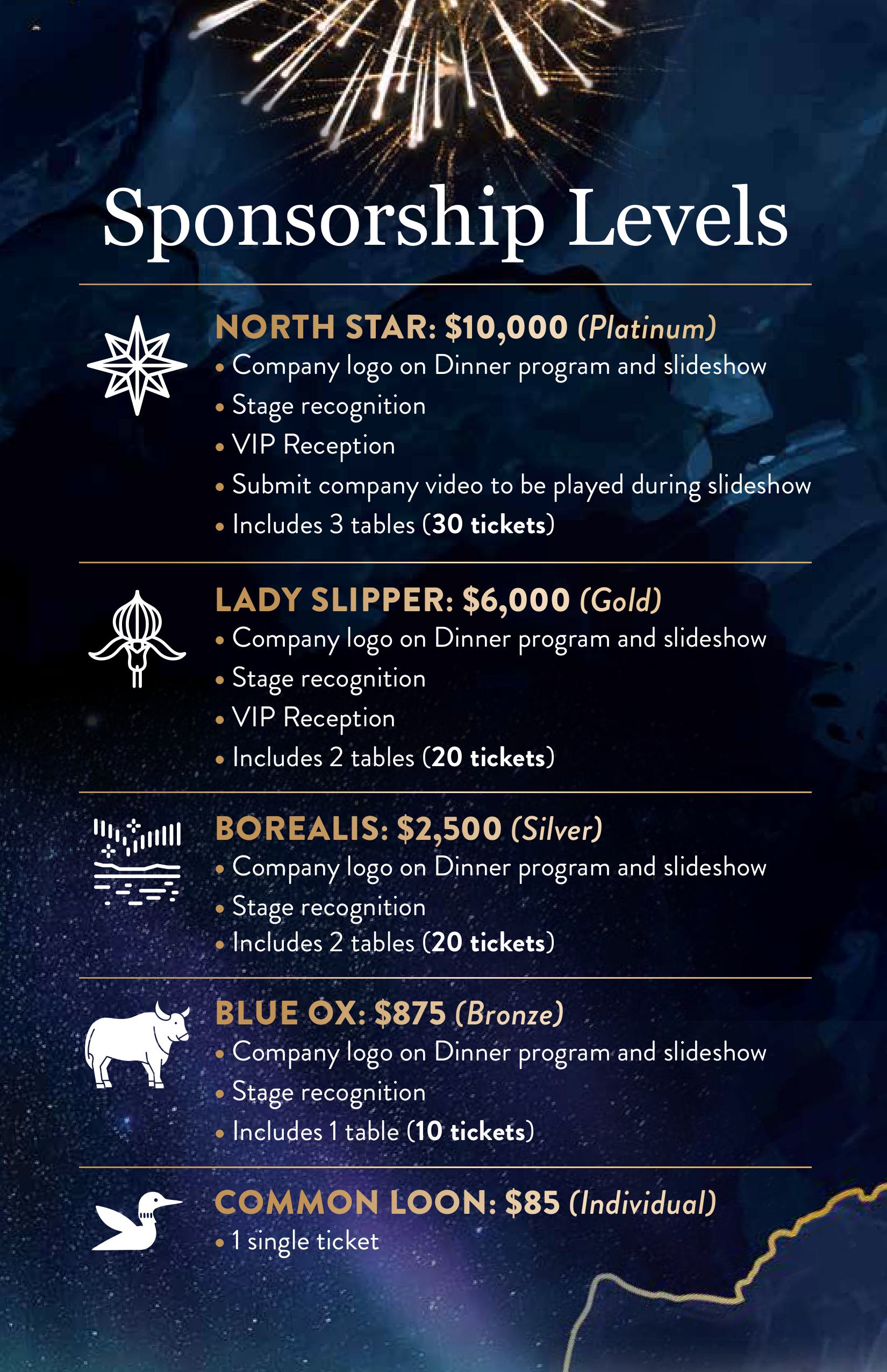 2026 Asian Pacific Minnesotans Leadership Awards Sponsorship Rate Card images